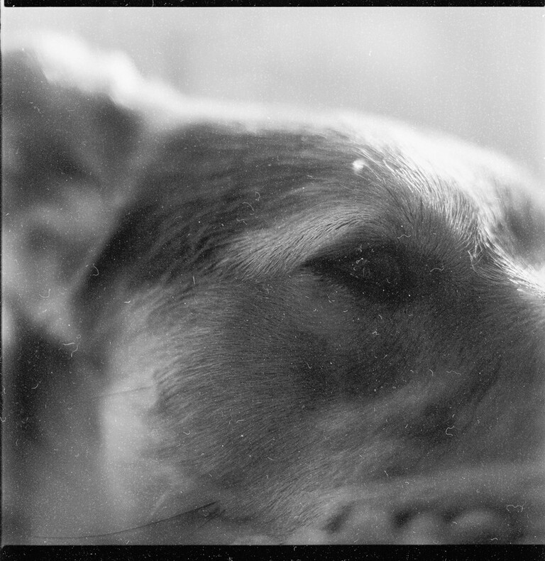 medium format venturings